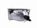 HL FORD SD CLEAR 00-07-2