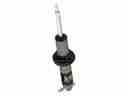 21-UP BRONCO HOSS 1.0 PKG 2.5 FRONT-8